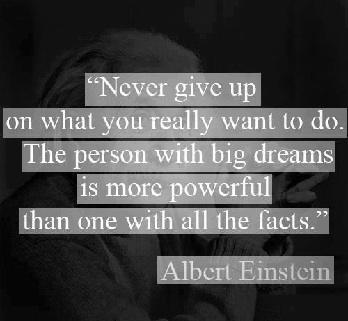 Albert Einstein Quotes Never give up on what you really want to do. The person with big dreams is more powerful than the one with all the facts.